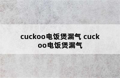 cuckoo电饭煲漏气 cuckoo电饭煲漏气